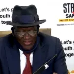 Bheki Cele biography